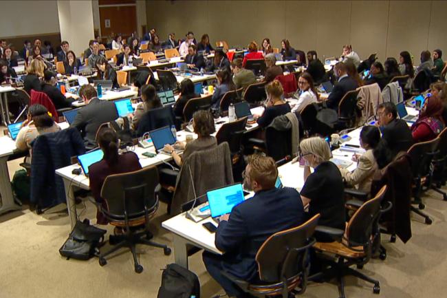 Delegates during the deliberations on the terms of reference and modalities for the operation of, and rules of procedure for, the subsidiary bodies, including the selection process for their members