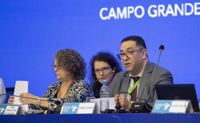 Chair Khalid Cherki; Morocco - CMS COP15 - 23Mar2026