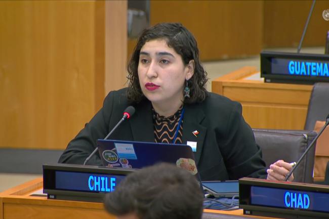 Delegate from Chile
