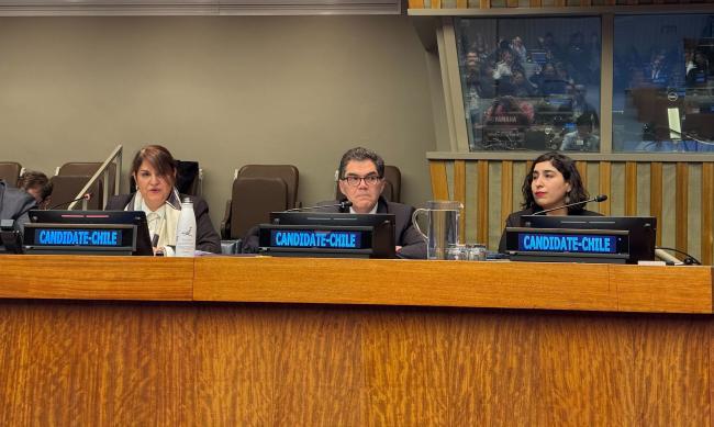 The delegation from Chile