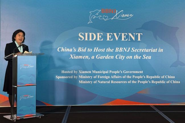 Hua Chunying, Vice Minister of Foreign Affairs, China