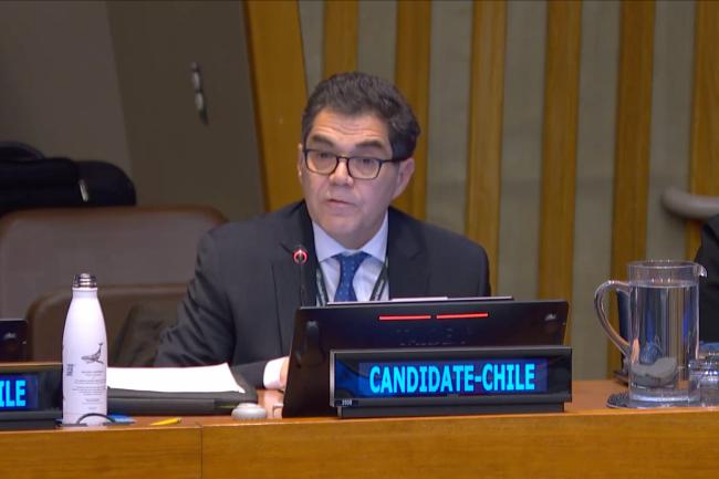 Claudio Garrido, Deputy Permanent Representative of Chile to the UN