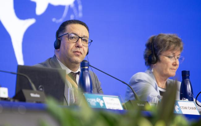 CoW Chair Khalid Cherki (Morocco) - CMS COP15 - 26Mar2026