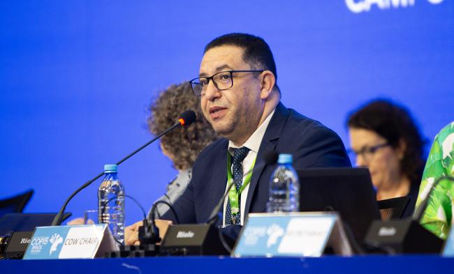 CoW Chair Khalid Cherki (Morocco) - CMS COP15 - 24Mar2026