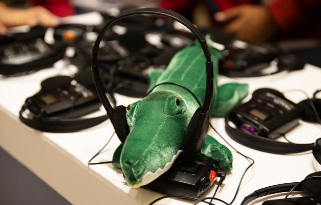 Cocodrile - CMS COP15 - 29Mar2026