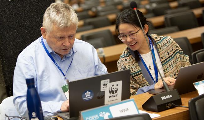 Colman O'Criodain, World Wildlife Fund , and - CMS COP15 - 26Mar2026.