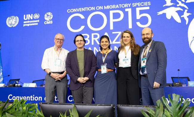 Comunicaction Team - CMS COP15 - 28Mar2026.jpg