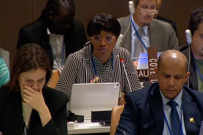 Repesentative from Côte d'Ivoire on behalf of the African Group