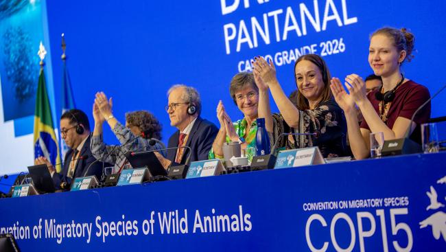 Dais - CMS COP15 - 29Mar2026