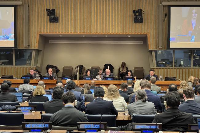 The dais during the opening of the 3rd Session of the BBNJ PrepCom