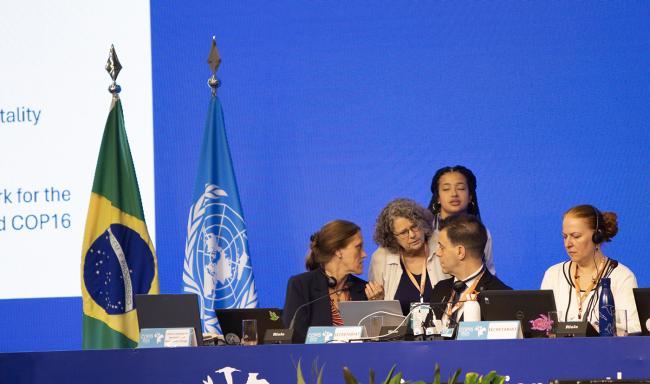 Dais 3- CMS COP15 - 28Mar2026