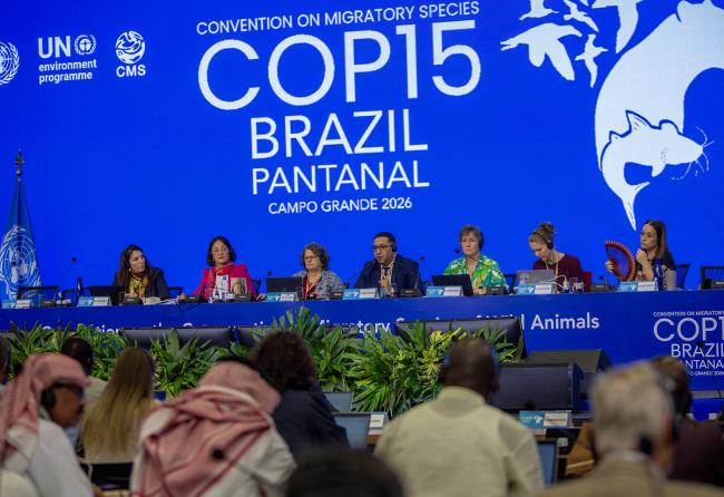 Dais Morning- CMS COP15 - 29Mar2026