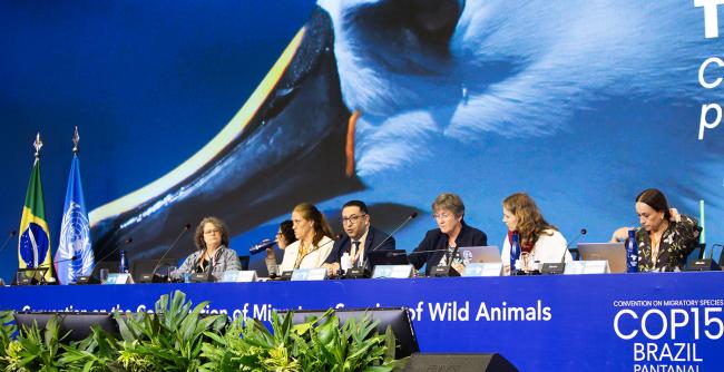 Dais Plenary - CMS COP15 - 25Mar2026