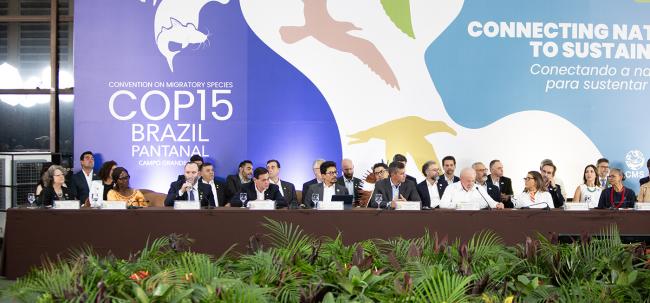 Dais during the presidencial segment - CMS COP15 - 22Mar2026.jpg