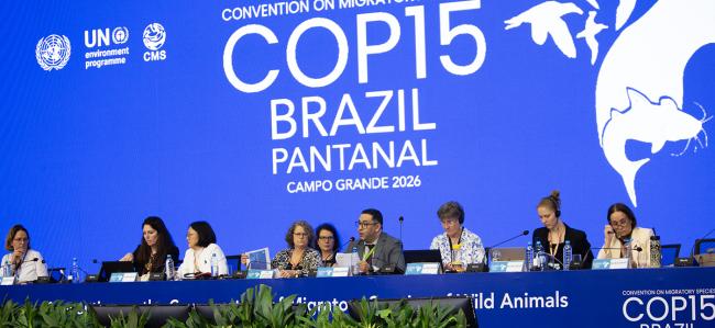 Dais during COW- CMS COP15 - 23Mar2026