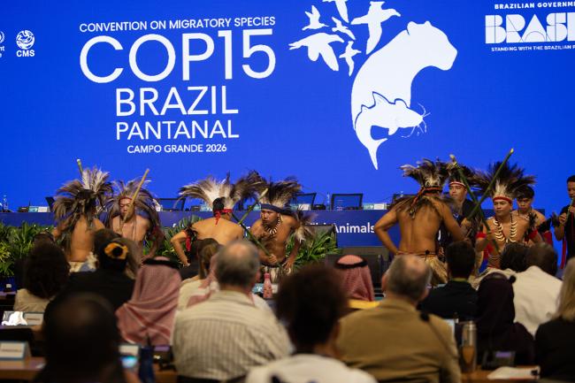 Dance - CMS COP15 - 23Mar2026