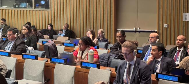 Delegates deliberate on the RoP and ToR for the subsidiary bodies