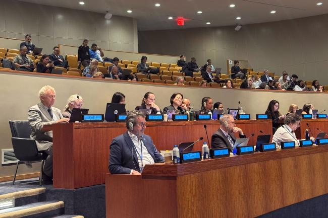 Delegates during the morning discussion on RoP of the Secretariat