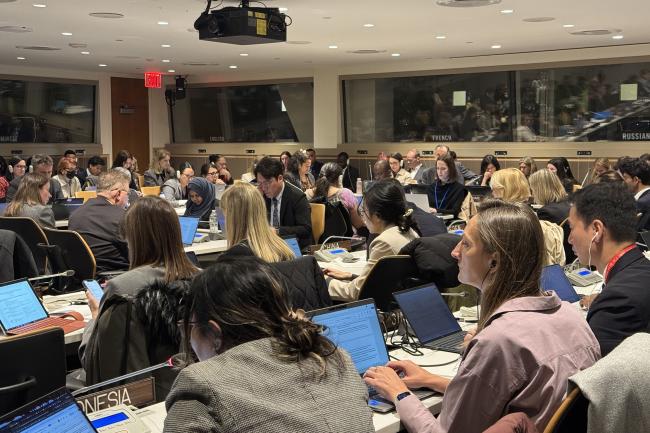 Delegates during the parallel session