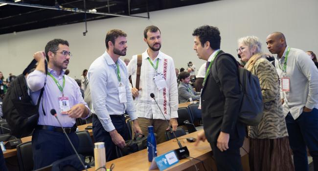 Delegates in cosultation - CMS COP15 - 27Mar2026