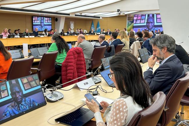 Delegates at UN-Water meeting