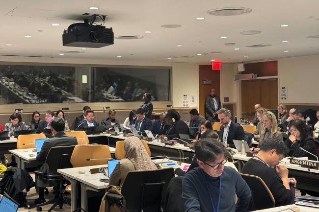 Delegates during the deliberations on the Modalities for the operation of the Clearing-House Mechanism