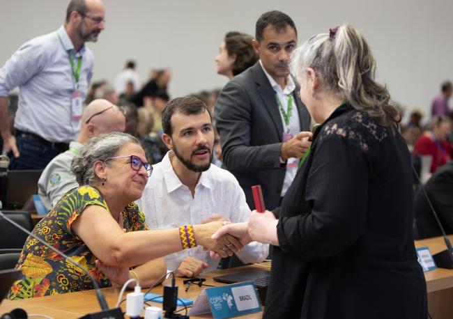 During plenary - CMS COP15 - 29Mar2026