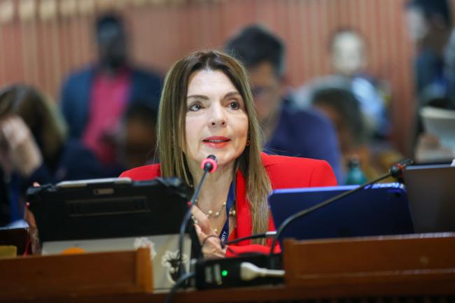 Gina Guillén Grillo, Costa Rica