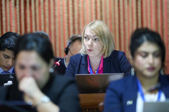 Kamila Mianowicz, Interoceanmetal Joint Organization (IOM) 