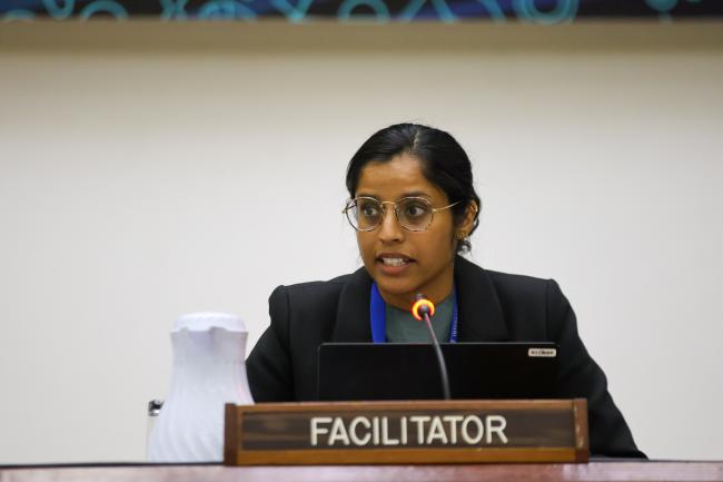 Australia, facilitator of the Informal Working Group on Equalization Measure 