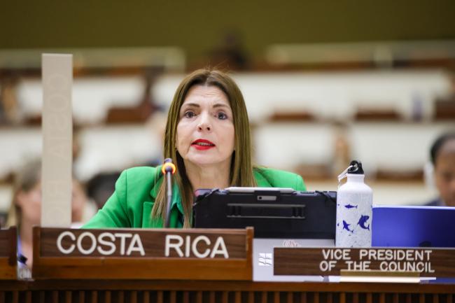 Gina Guillén Grillo, Costa Rica
