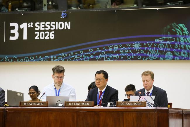 Dais during the Informal Working Group on Test Mining and Pilot Mining