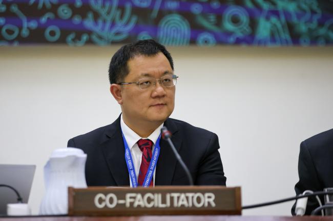 Yang Liu, China, Co-Facilitator of the Informal Working Group on Test Mining and Pilot Mining 