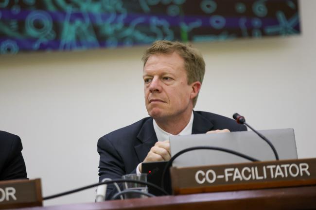 Ingo Narberhaus, Germany, Co-Facilitator of the Informal Working Group on Test Mining and Pilot Mining 