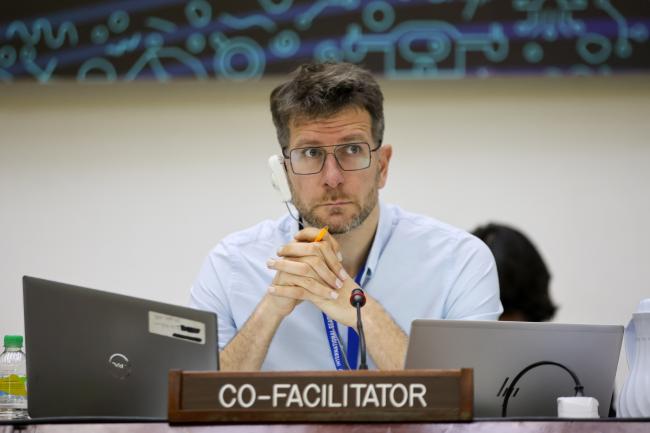 Steven Vandenborre, Belgium, Co-Facilitator of the Informal Working Group on Test Mining and Pilot Mining 