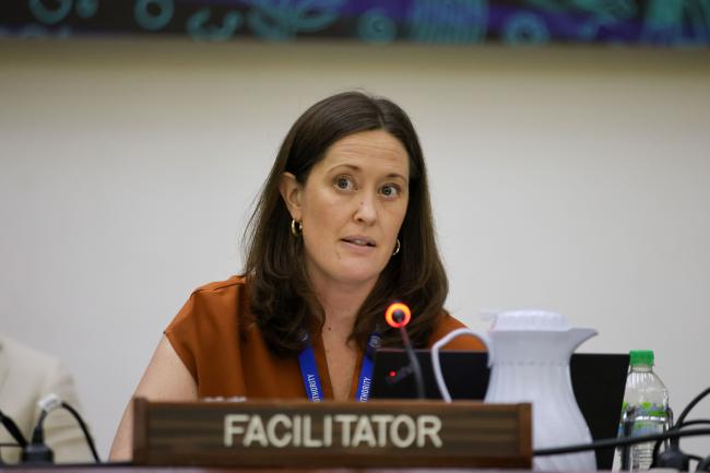 Ingrid Vikanes, Norway, facilitator of the Informal Working Group on ICE Mechanism and Establishment of the Compliance Committee 