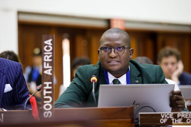 Moses Mokoena, South Africa, on behalf of the African Group