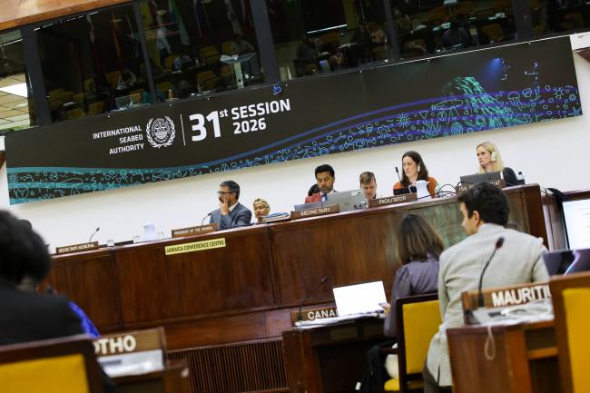 Dais during the Informal Working Group
