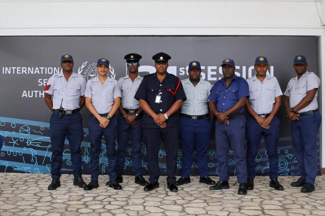 ISA-31 fire team 