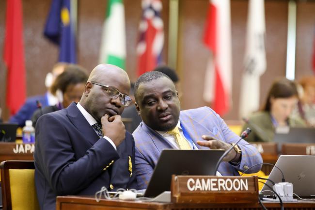 Delegates from Cameroon