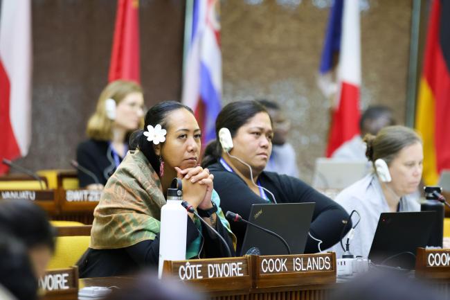 Delegates from the Cook Islands