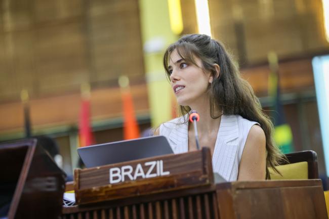 Bárbara Macedo Perrenoud, Brazil 