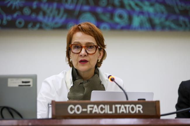Maria Mendes, Portugal, Co-Facilitator of the Informal Working Group on Rights and Interests of Coastal States