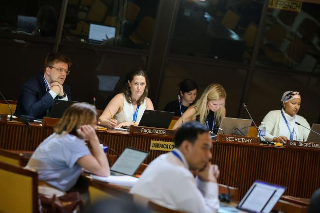 Dais during the Informal Working Group on ICE Mechanism and Establishment of the Compliance Committee