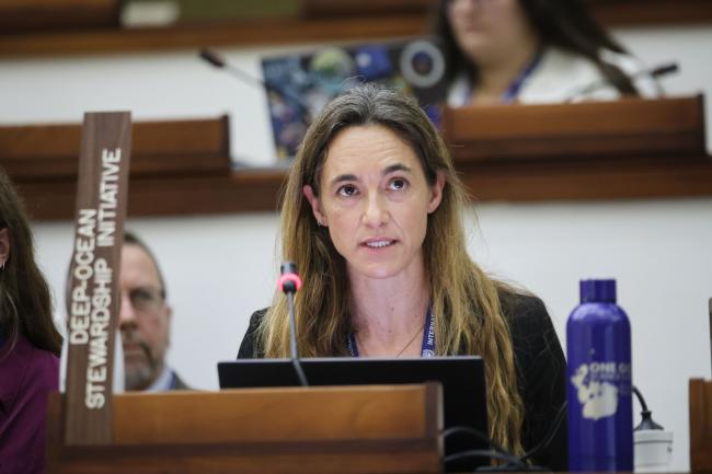 Patricia Esquete, Deep-Ocean Stewardship Initiative (DOSI)