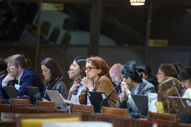 Delegates during the Informal Wokring Group 
