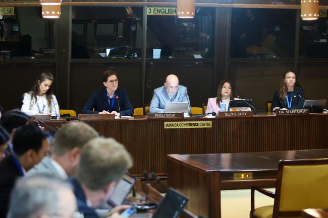 Dais during the Informal Working Group 