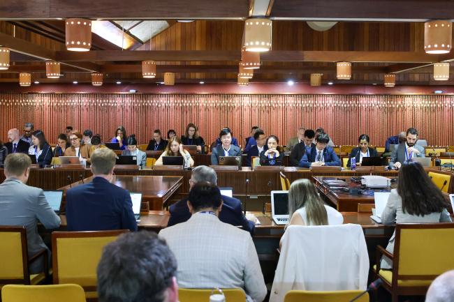 A view of the room during the Informal Wokring Group