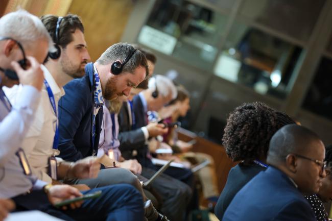 Delegates during the Informal Wokring Group 