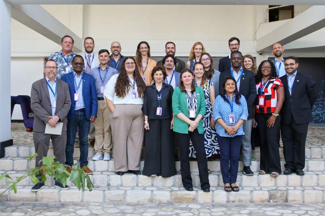 Representatives from observer organizations